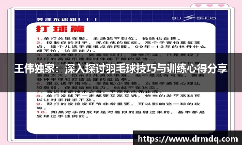 王伟独家：深入探讨羽毛球技巧与训练心得分享